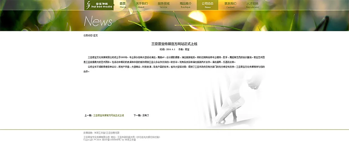 三亚荟宝文化传媒网站设计