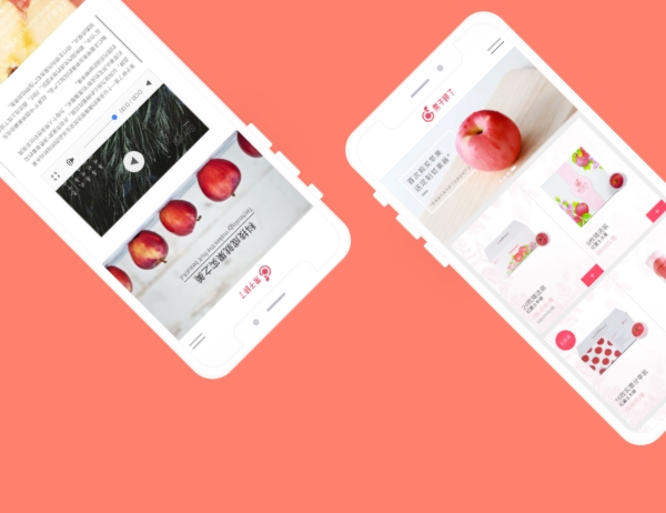 三亚小程序开发